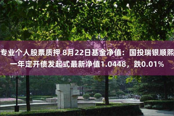 专业个人股票质押 8月22日基金净值：国投瑞银顺熙一年定开债发起式最新净值1.0448，跌0.01%