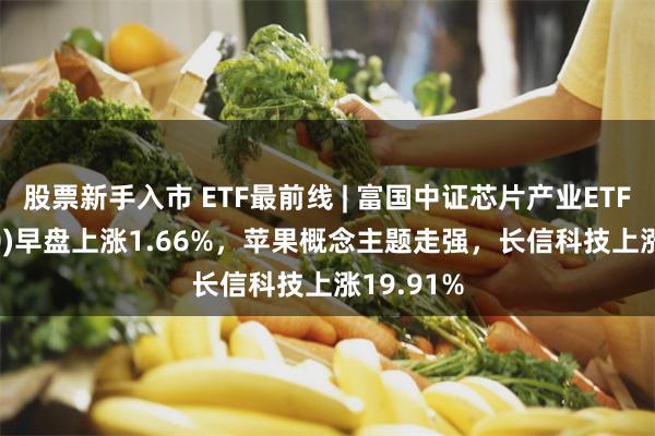 股票新手入市 ETF最前线 | 富国中证芯片产业ETF(516640)早盘上涨1.66%，苹果概念主题走强，长信科技上涨19.91%