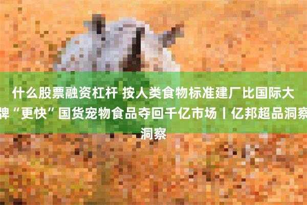 什么股票融资杠杆 按人类食物标准建厂比国际大牌“更快”国货宠物食品夺回千亿市场丨亿邦超品洞察