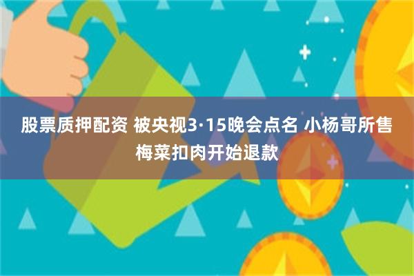 股票质押配资 被央视3·15晚会点名 小杨哥所售梅菜扣肉开始退款