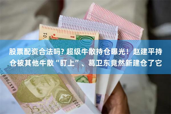 股票配资合法吗? 超级牛散持仓曝光！赵建平持仓被其他牛散“盯上”、葛卫东竟然新建仓了它