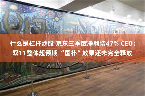 什么是杠杆炒股 京东三季度净利增47% CEO：双11整体超预期 “国补”效果还未完全释放