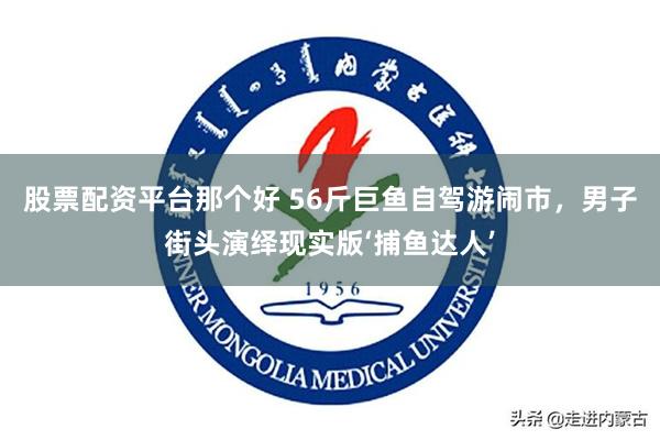 股票配资平台那个好 56斤巨鱼自驾游闹市，男子街头演绎现实版‘捕鱼达人’