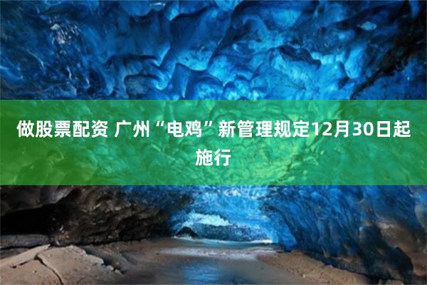 做股票配资 广州“电鸡”新管理规定12月30日起施行