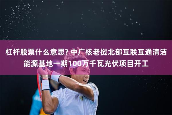 杠杆股票什么意思? 中广核老挝北部互联互通清洁能源基地一期100万千瓦光伏项目开工