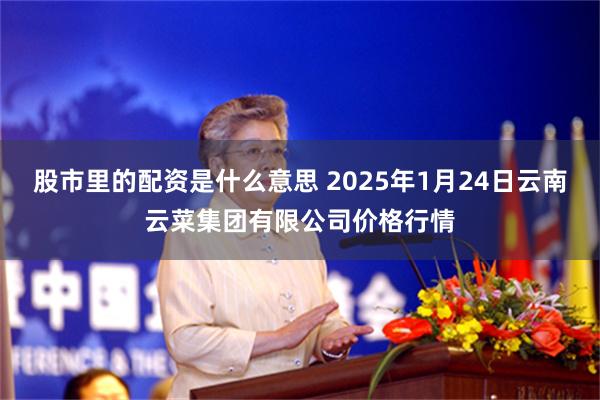 股市里的配资是什么意思 2025年1月24日云南云菜集团有限公司价格行情