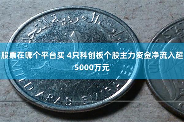 股票在哪个平台买 4只科创板个股主力资金净流入超5000万元