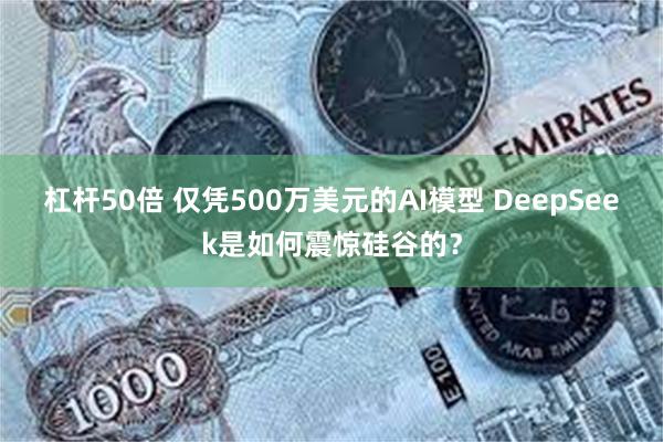 杠杆50倍 仅凭500万美元的AI模型 DeepSeek是如何震惊硅谷的？