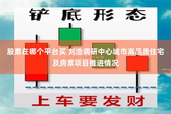 股票在哪个平台买 刘浩调研中心城市高品质住宅及房票项目推进情况