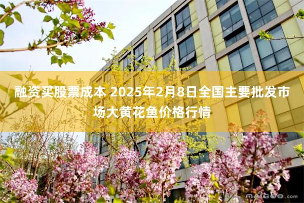 融资买股票成本 2025年2月8日全国主要批发市场大黄花鱼价格行情