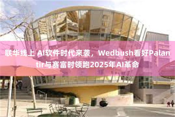 联华线上 AI软件时代来袭，Wedbush看好Palantir与赛富时领跑2025年AI革命