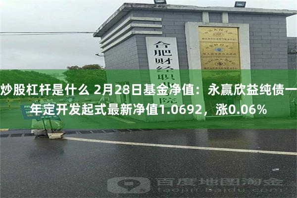 炒股杠杆是什么 2月28日基金净值：永赢欣益纯债一年定开发起式最新净值1.0692，涨0.06%