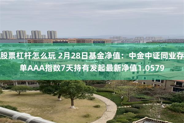 股票杠杆怎么玩 2月28日基金净值：中金中证同业存单AAA指数7天持有发起最新净值1.0579