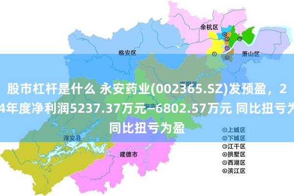 股市杠杆是什么 永安药业(002365.SZ)发预盈，2024年度净利润5237.37万元—6802.57万元 同比扭亏为盈